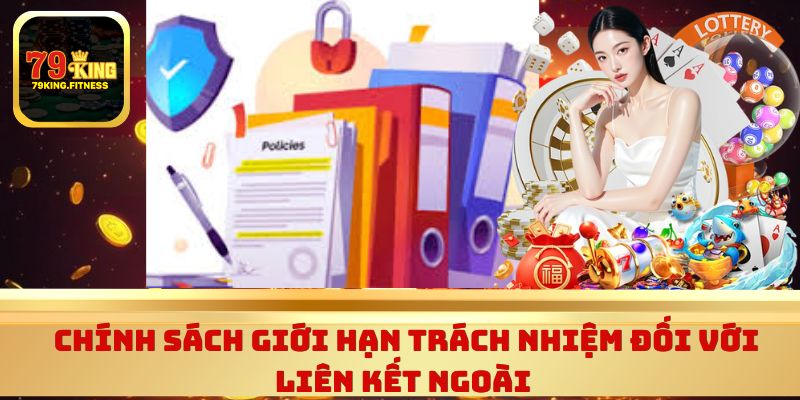 Chính sách giới hạn trách nhiệm đối với liên kết ngoài 