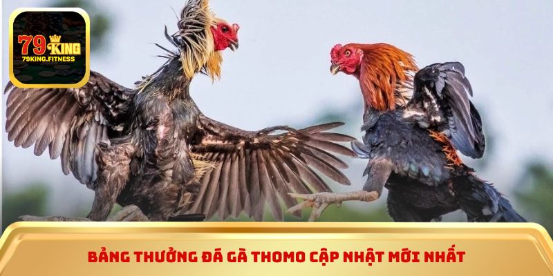 Bảng thưởng đá gà thomo cập nhật mới nhất