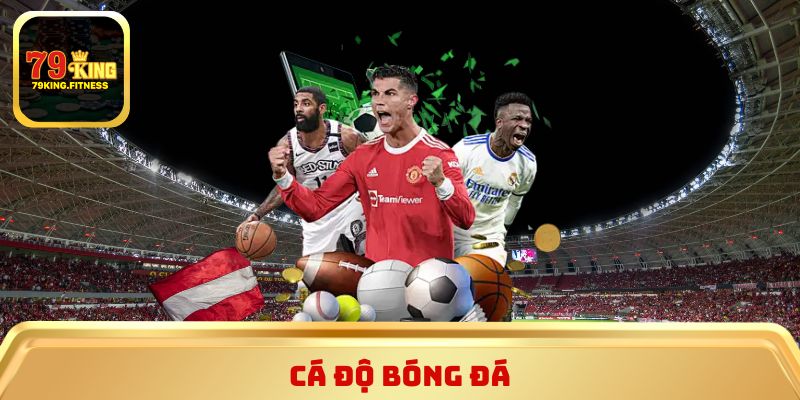 Cá độ bóng đá