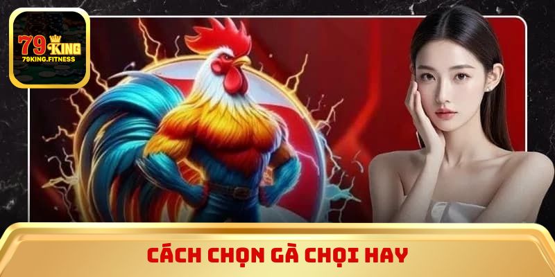 Cách chọn gà chọi hay