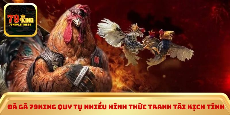 Đá gà 79king quy tụ nhiều hình thức tranh tài kịch tính 
