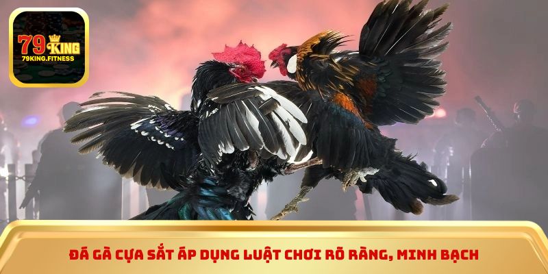 Đá gà cựa sắt áp dụng luật chơi rõ ràng, minh bạch