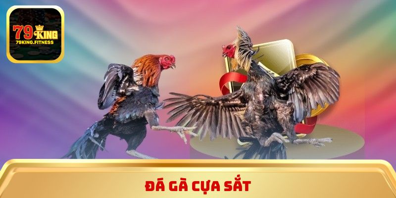 Đá gà cựa sắt