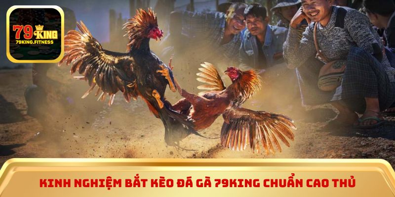 Kinh nghiệm bắt kèo đá gà 79king chuẩn cao thủ