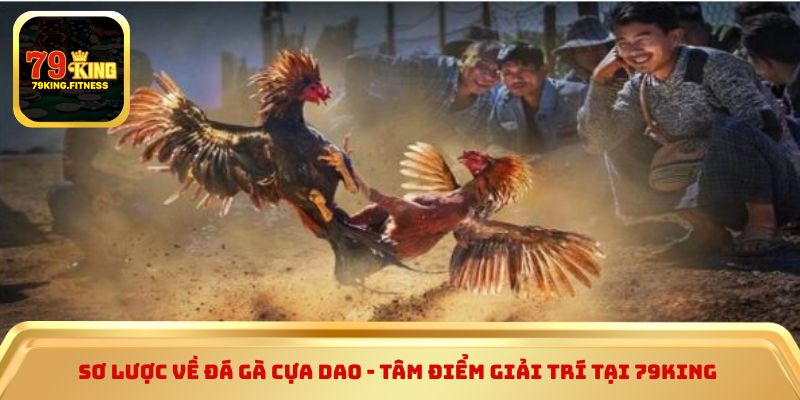 Sơ lược về đá gà cựa dao - Tâm điểm giải trí tại 79king 